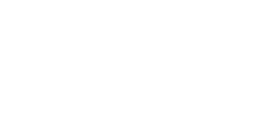 SpinVi